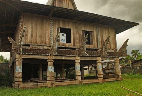 torjakan means in tagalog|TOROGAN (Tagalog).